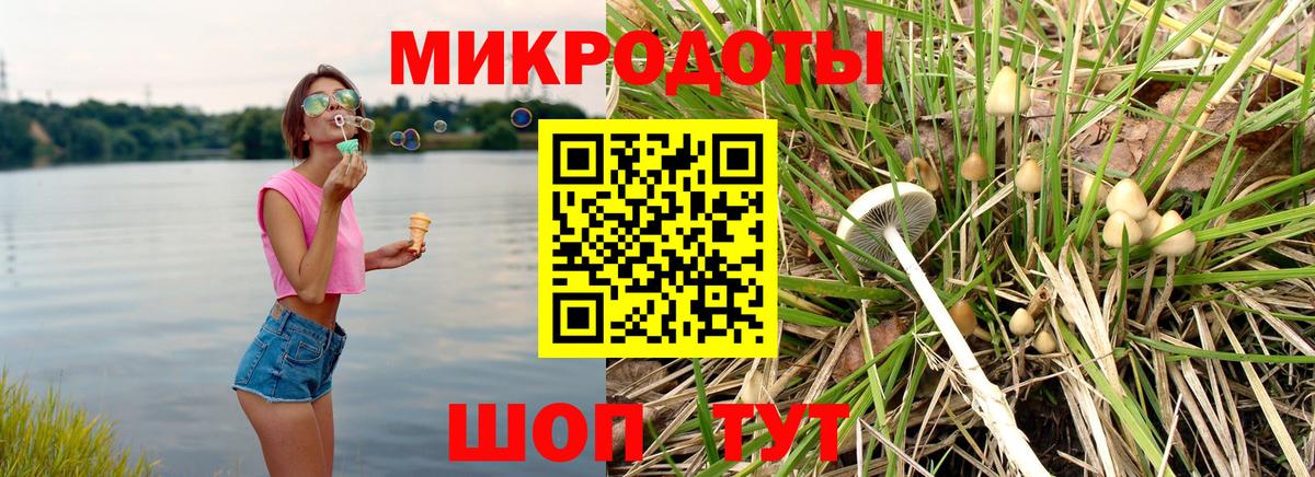 Галлюциногенные грибы Psilocybine cubensis  Вход с VPN  Батайск 